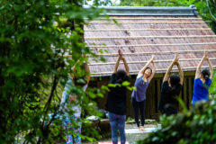 get_the_title($post->ID)