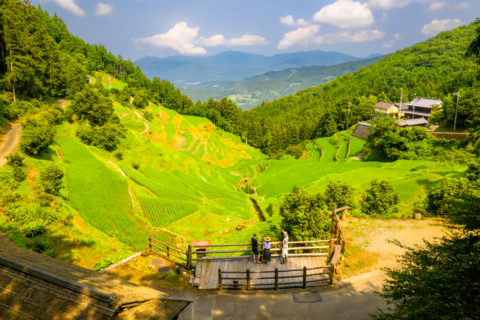 Terraced Rice Fields of Izumidani