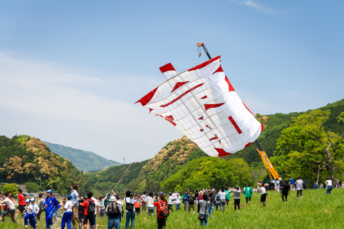 Ikazaki Kite Battle festival