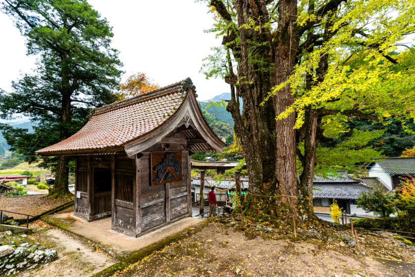 Mishima Shrine