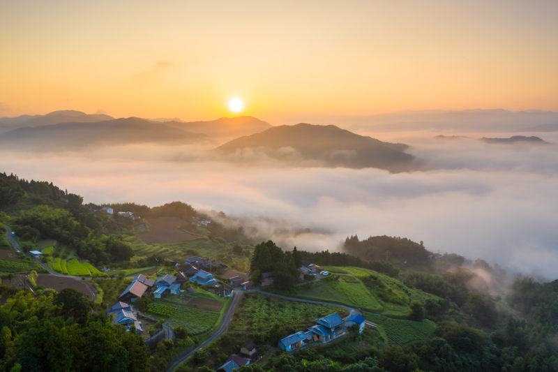 ”Breakfast and Sea of clouds” starts from Jan.4th this year