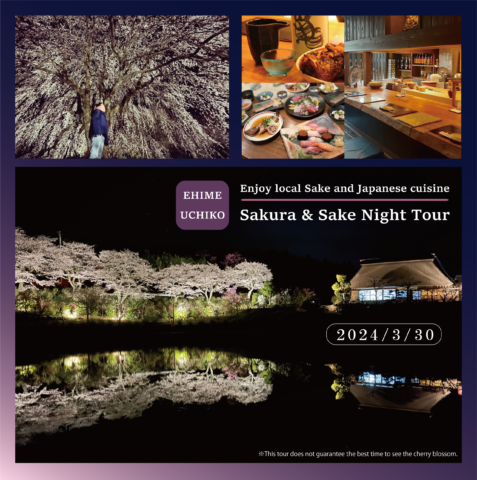 【March 30th】Sakura and Sake Night Tour