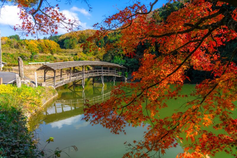 Seasonal Update: Autumn Colors in Uchiko 20264